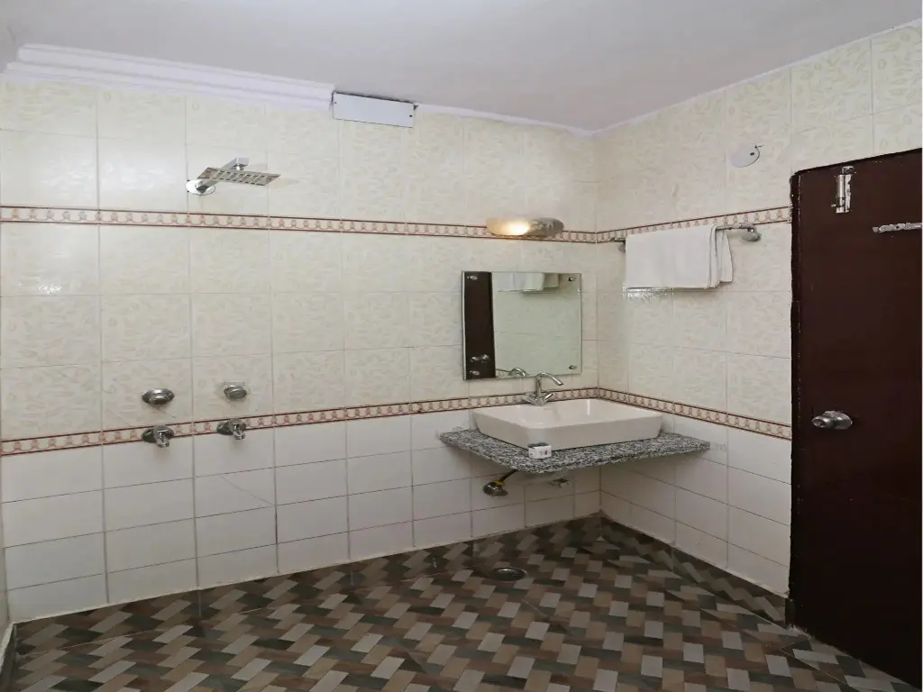 Нью-Дели: OYO 12419 Hotel Silver Shine