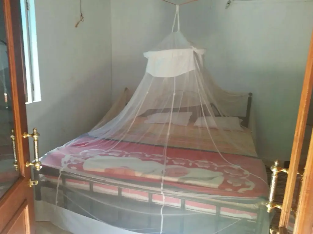 Casa Fiesta — фото 1