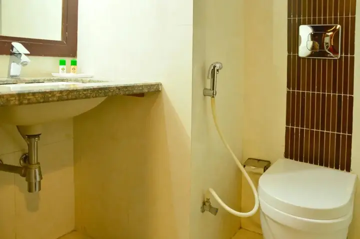Джайпур: Hotel Shyam Paradise