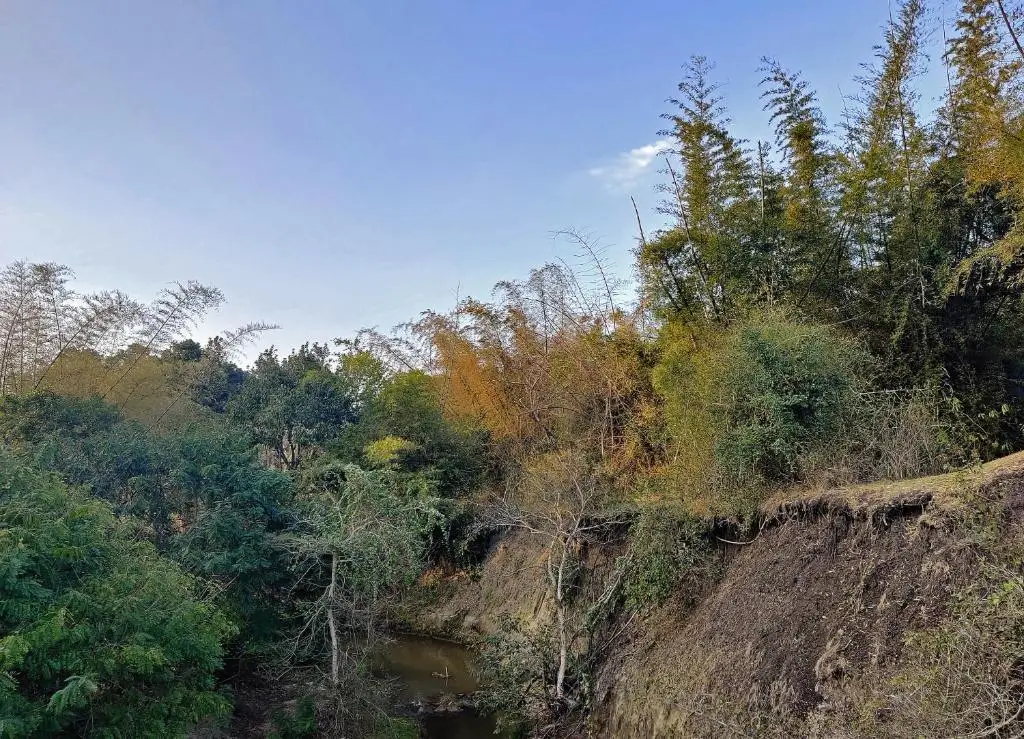 Ути: Bamboo Banks Farm & Guest House