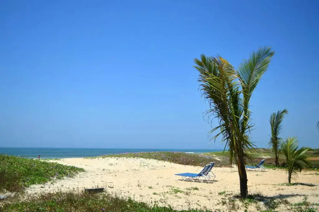 Бенаулим: Palm Grove Cottages - Leisure Resort