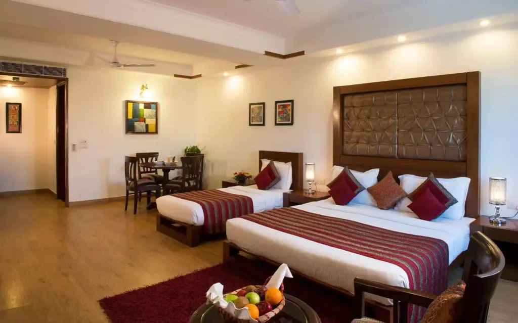 Нью-Дели: Anila Hotel