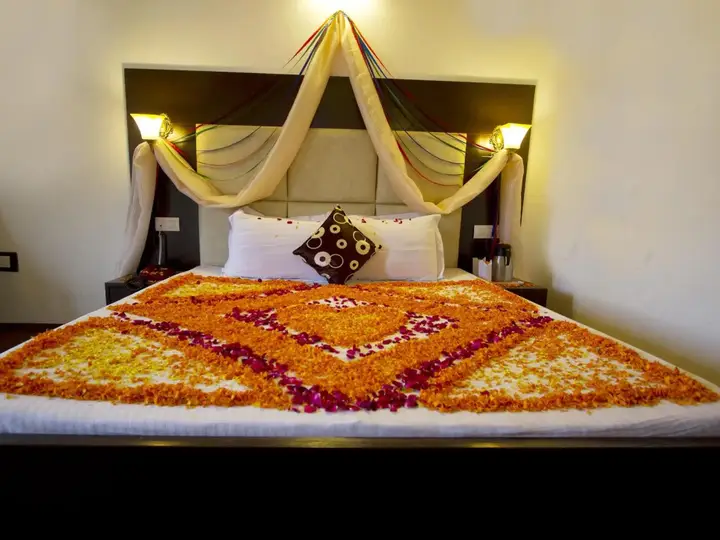 Манали: Hotel Daffodil Manali