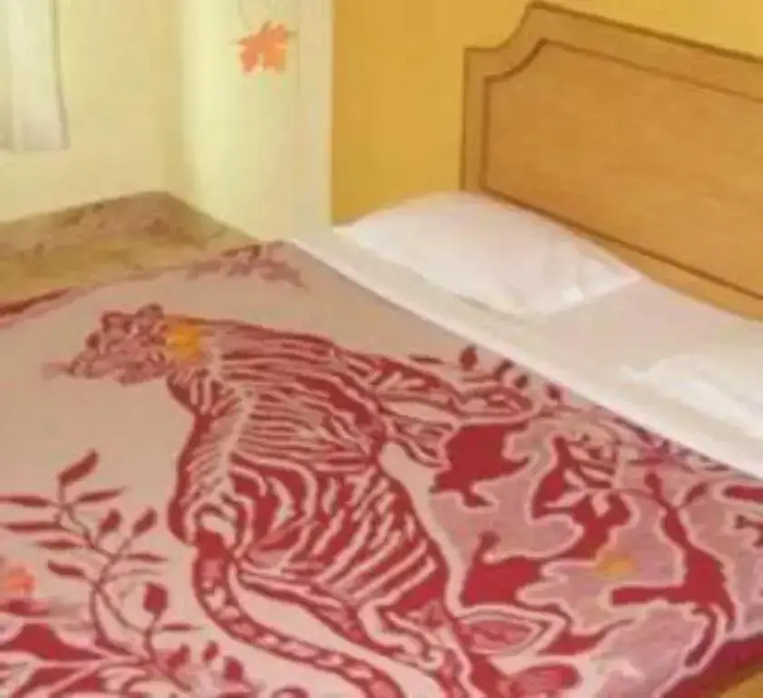 Пури: Hotel Rumani