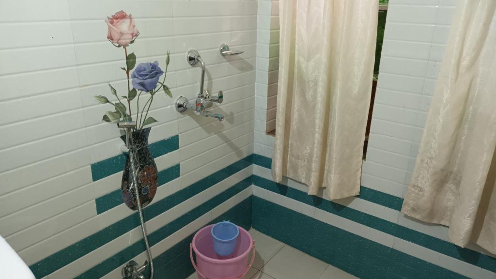 Удаипур: Jag Niwas Guest House