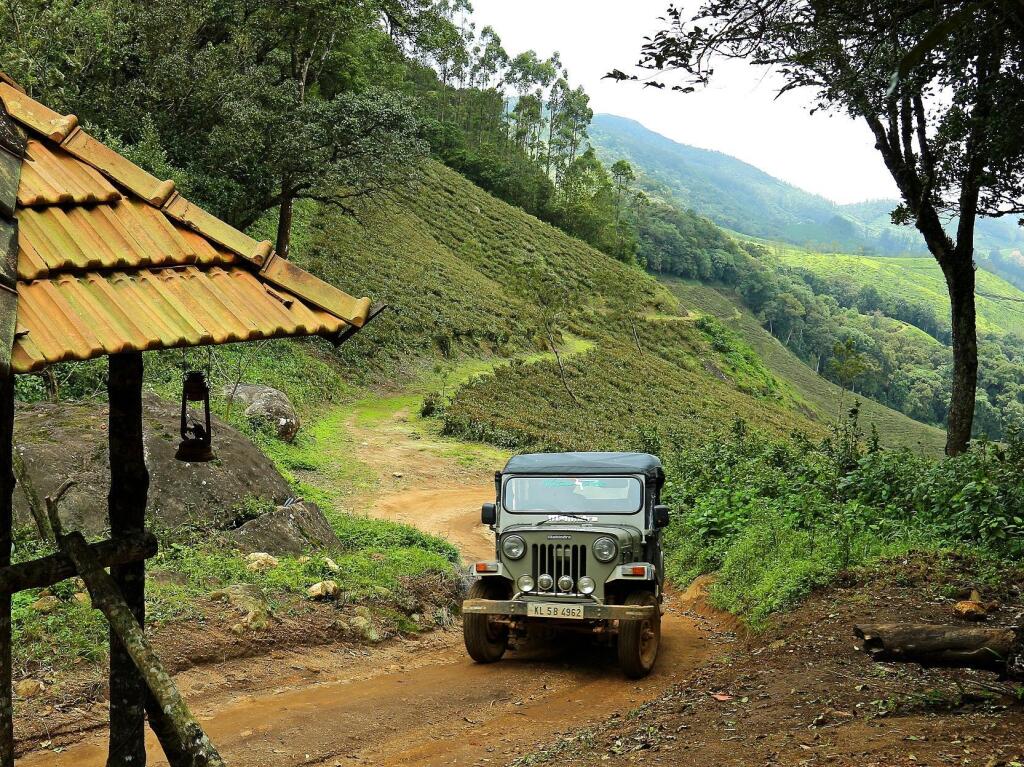 Муннар: Nature Zone Jungle Resort