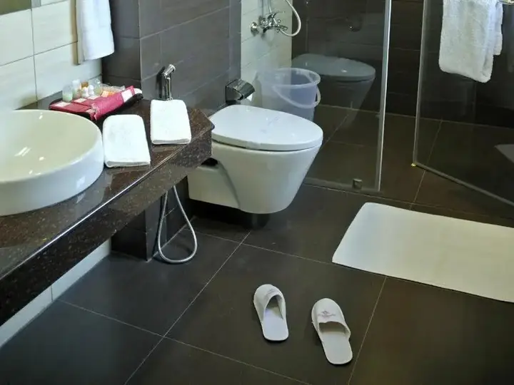 Тируваннамалай: Arpanaa Hotel