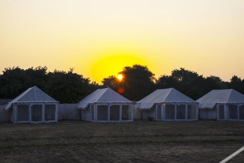 Пушкар: Royal Safari Camp