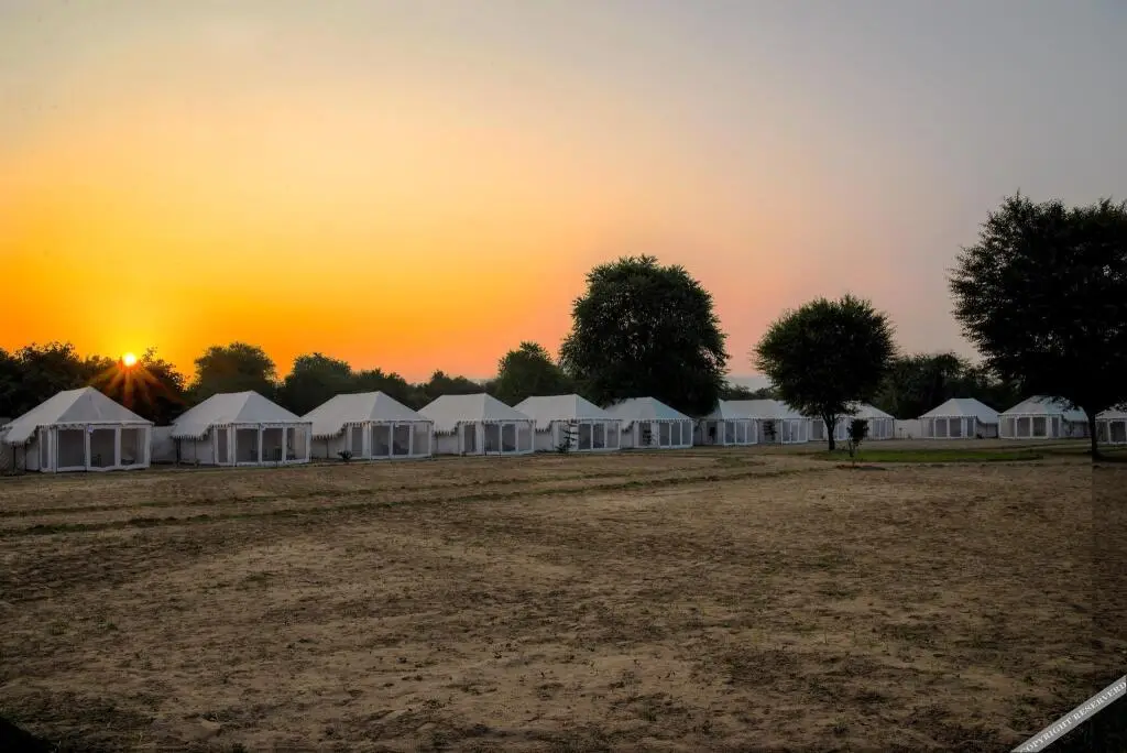 Royal Safari Camp — фото 1