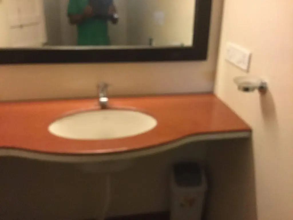 Удаипур: Hotel Mewar Inn