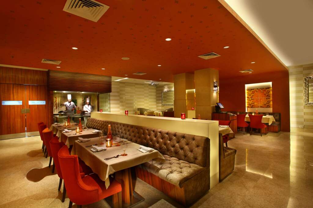 Нью-Дели: Park Plaza Delhi CBD Shahdara