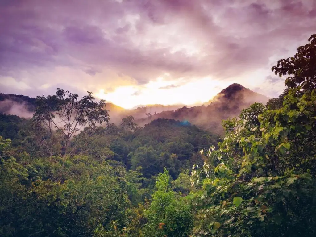 Алюр: Paradise Wild Hills
