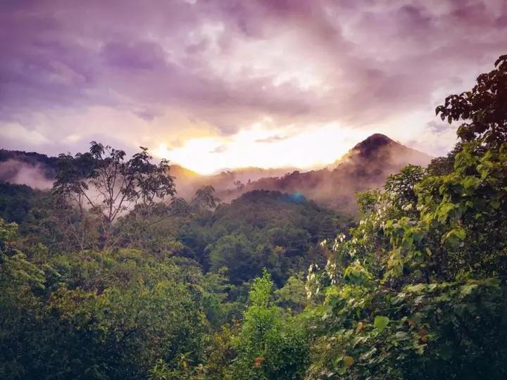Алюр: Paradise Wild Hills