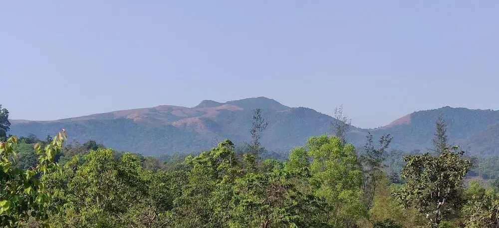 Алюр: Paradise Wild Hills