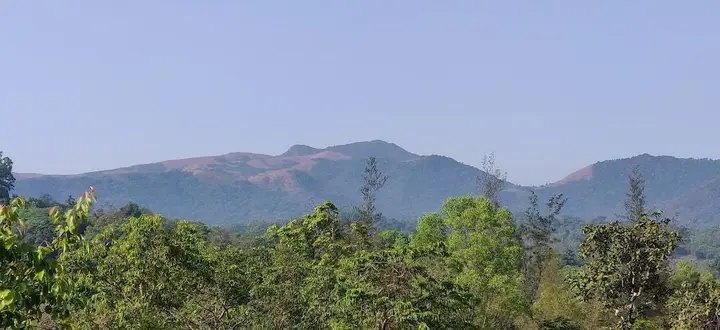 Алюр: Paradise Wild Hills