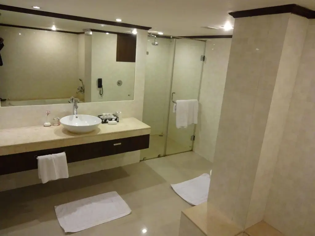 Пуна: The Hotel Hindusthan International
