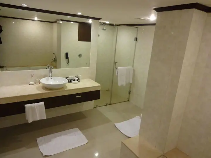 Пуна: The Hotel Hindusthan International