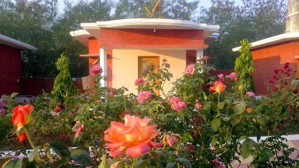 Кхаджурахо: Shri Krishna Jungle Resort
