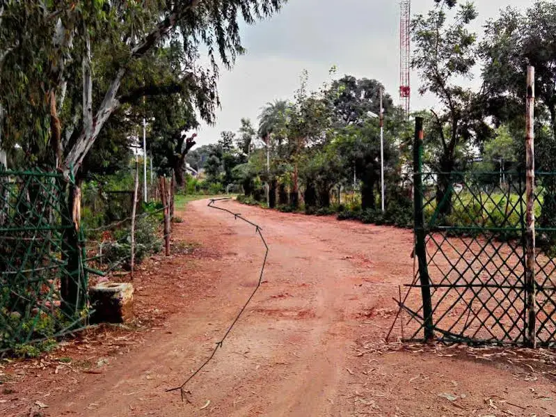 Кхаджурахо: Shri Krishna Jungle Resort