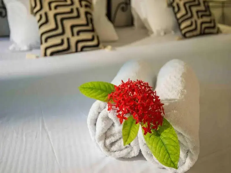 Джодхпур: Mandore Guest House