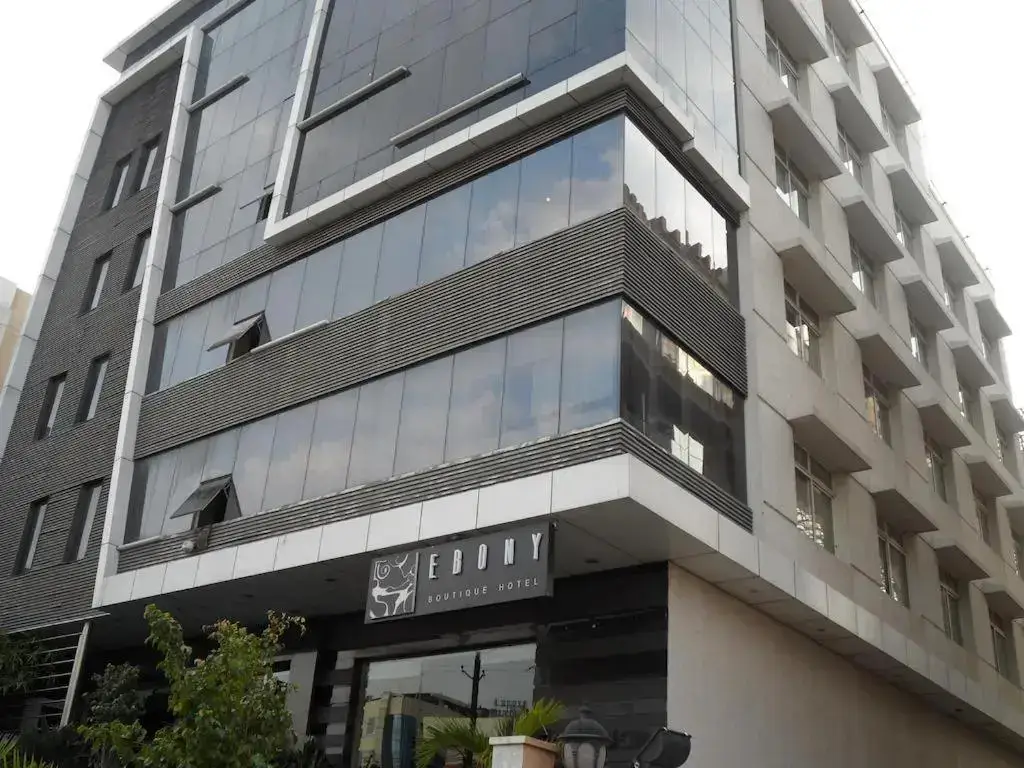 Ebony Boutique Hotel — фото 1