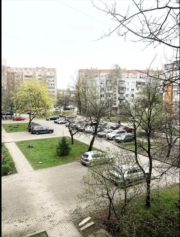 Калининград: Апартаменты Тихая, светлая и просторная. Рядом с центром