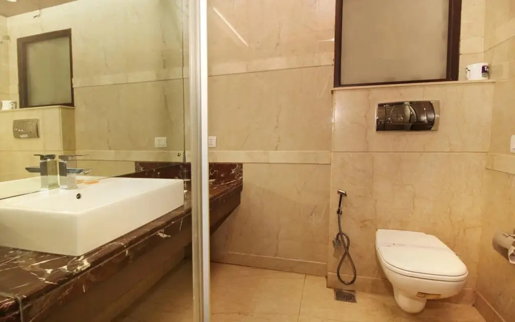 Нью-Дели: Hotel Africa Avenue G K 1
