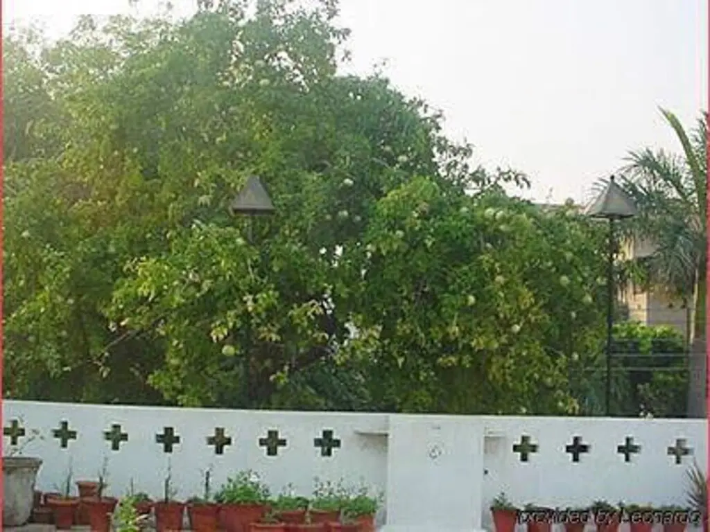 Нью-Дели: Bed and Breakfast New Delhi