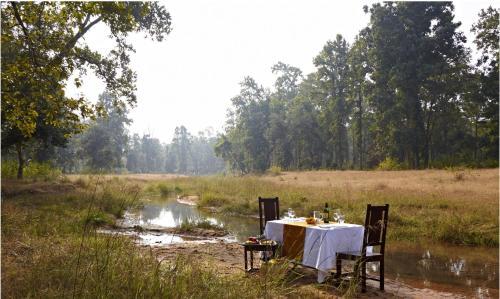 Тала: The Roaring Salvan County