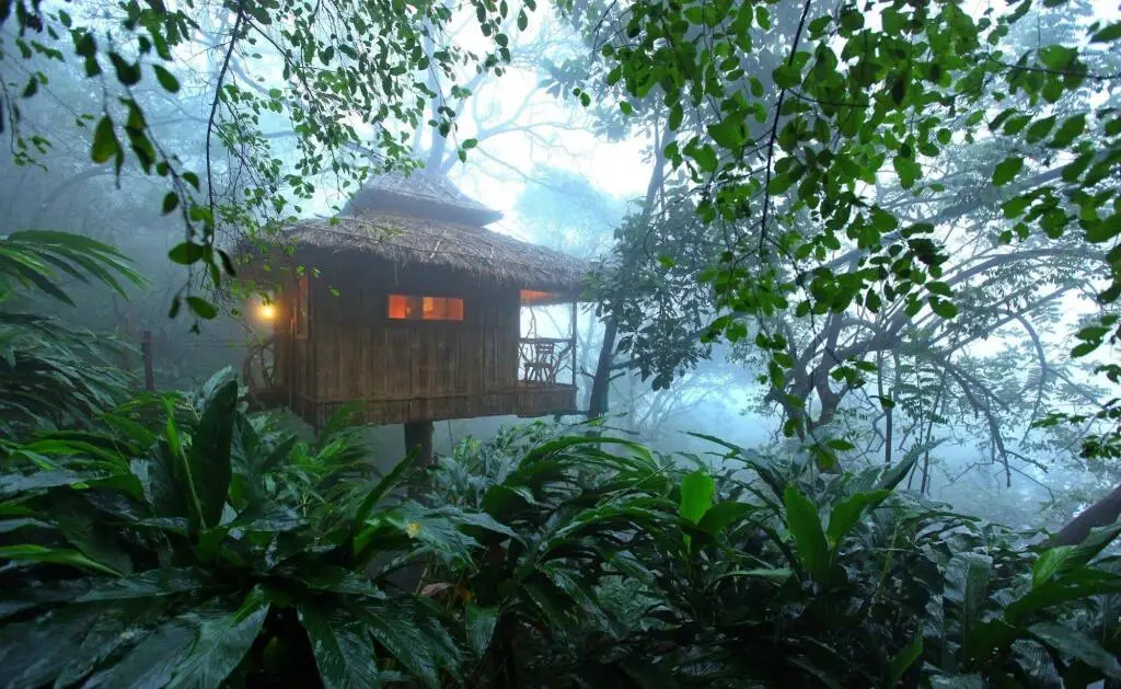 Кумили: Vanya Tree House