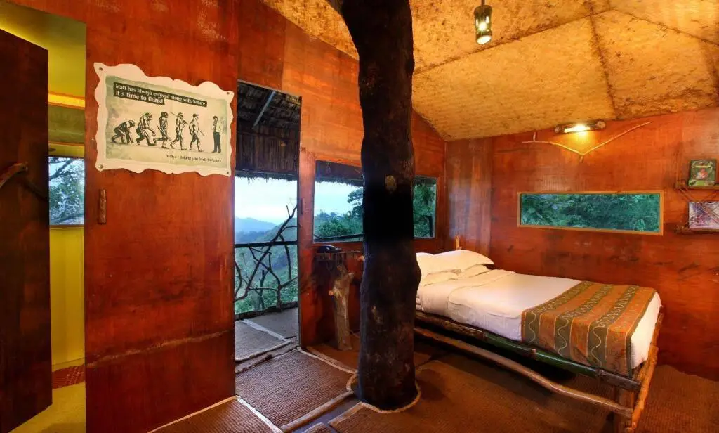 Vanya Tree House — фото 1