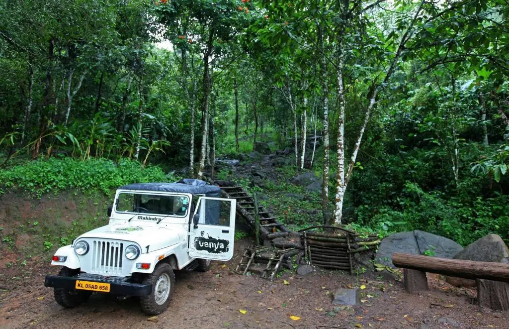 Кумили: Vanya Tree House