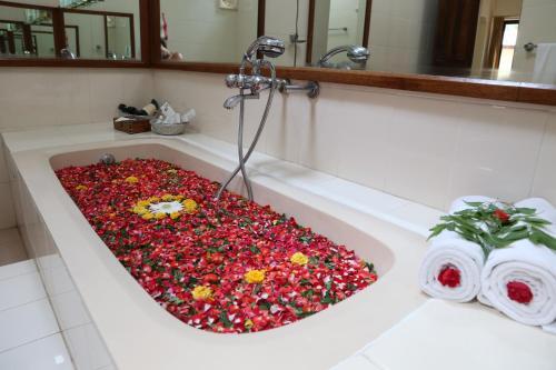 Майсур: Indus Valley Ayurvedic Centre