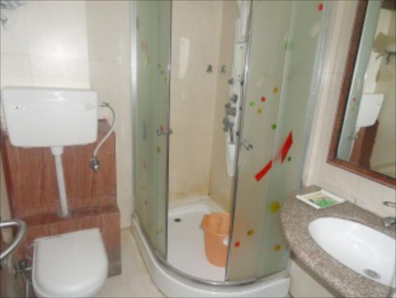 Нью-Дели: Revels Plum Hotel