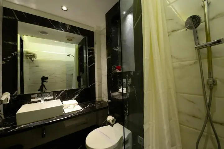 Нью-Дели: Hotel Chanchal Deluxe