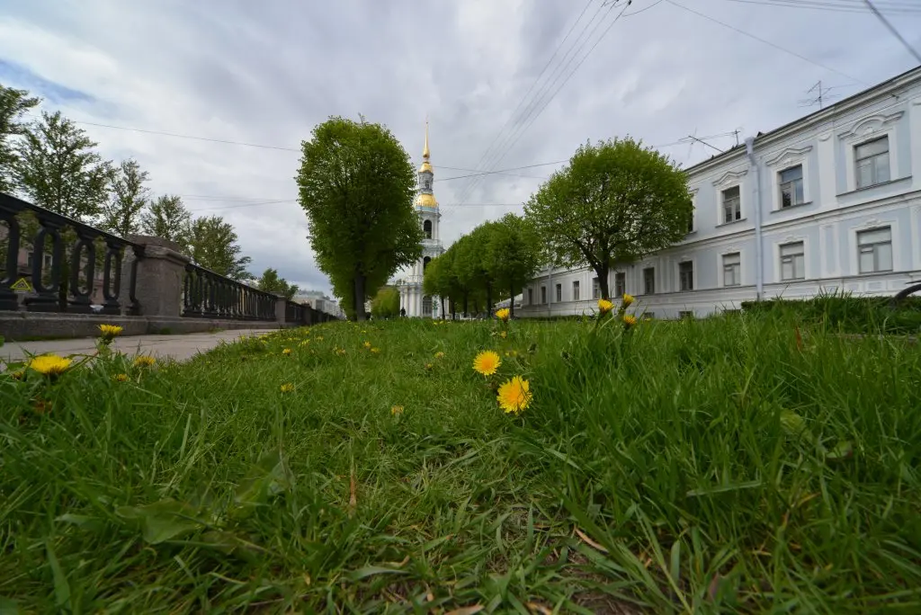 Санкт-Петербург: Апартаменты "Vege's House"