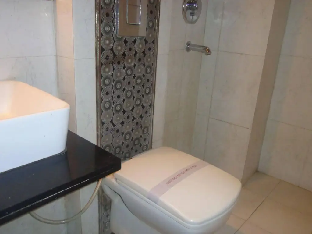 Нью-Дели: Hotel Guruvas Inn