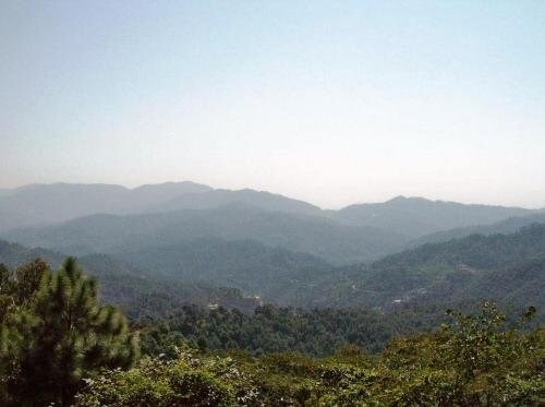 Куфри: Asha Home Stay