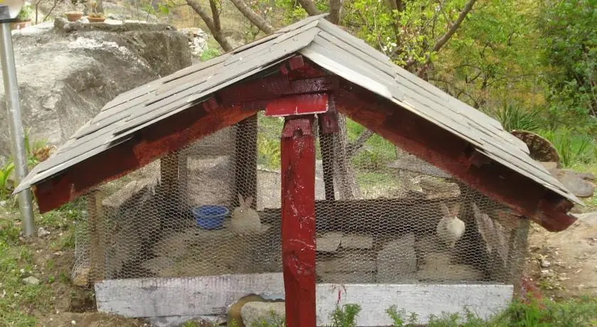 Чамба: Jamwal Villa Homestay