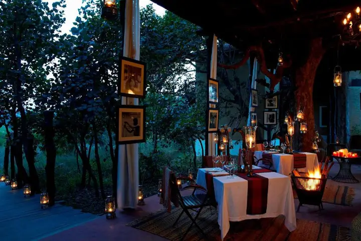 Тала: Samode Safari Lodge