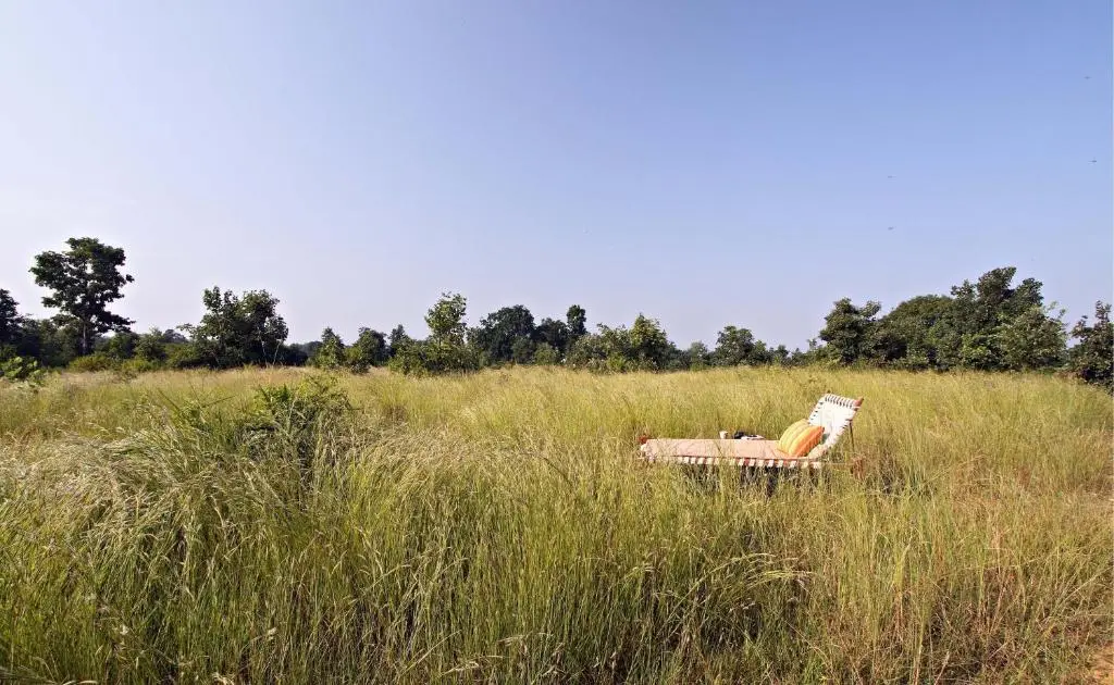 Тала: Samode Safari Lodge