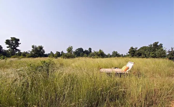 Тала: Samode Safari Lodge