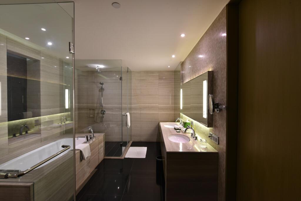 Holiday Inn New Delhi Aerocity by IHG — фото 1
