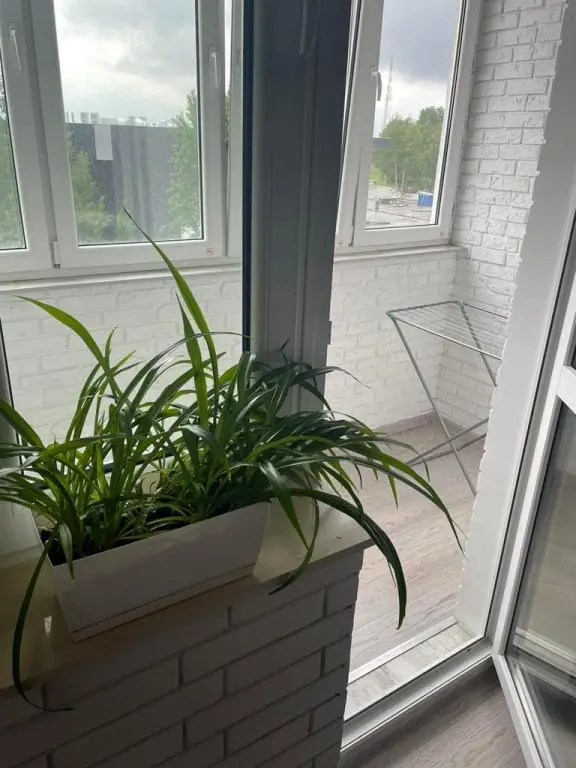 Калининград: Апартаменты на улице Флотская 9