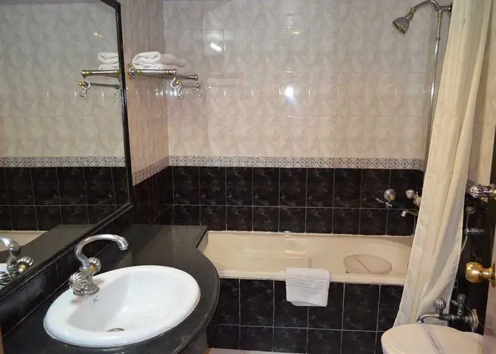 Нью-Дели: Hotel Grand Sartaj
