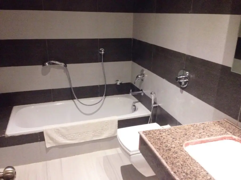 Бодх-Гая: Niranjana Hotel