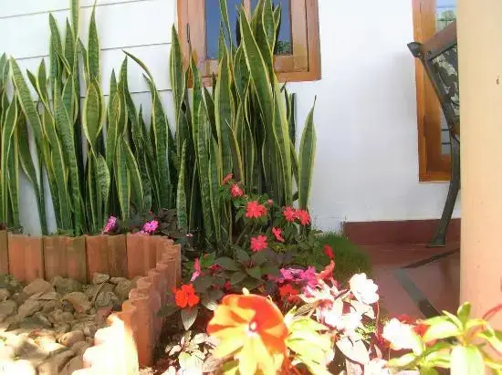 Чиннаканал: Munnar Dreams Home Stay