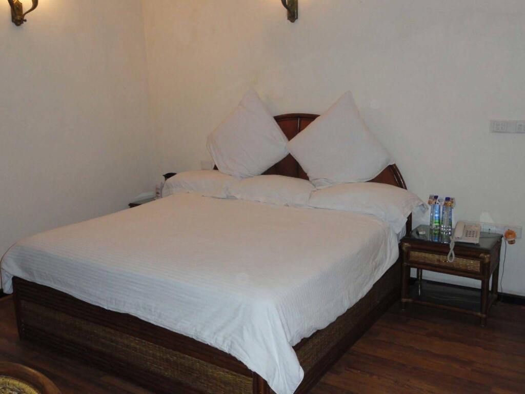 Hotel Rani Castle — фото 1