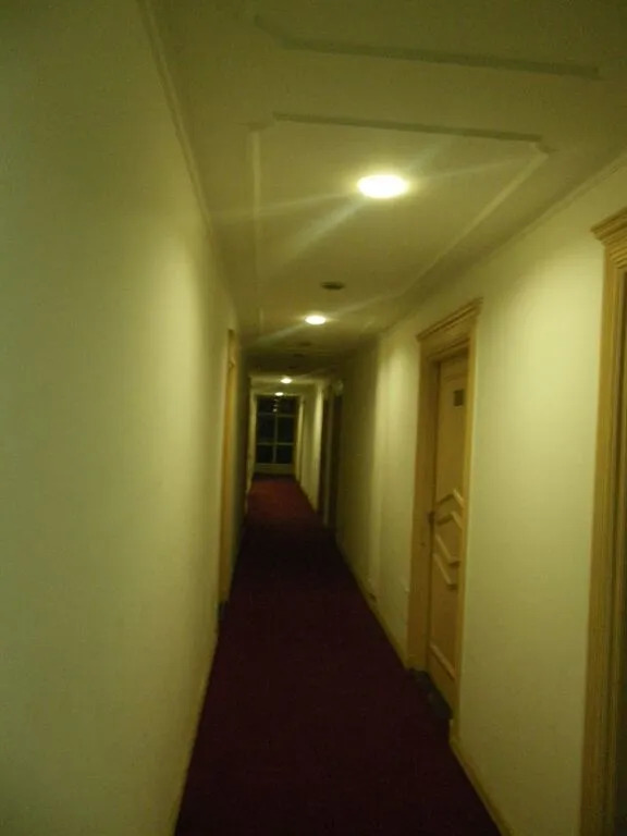 Нью-Дели: Hotel Metro Continental