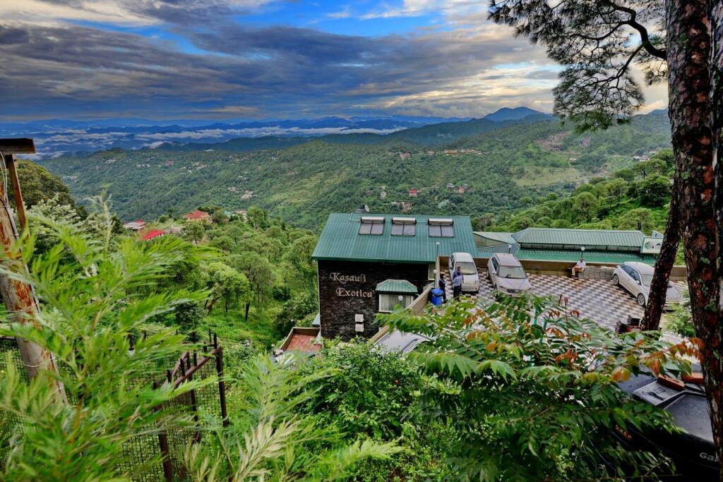 Kasauli Exotica — фото 1